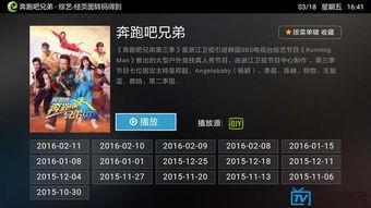 第四季最新爆料视频大全,精彩瞬间尽收眼底